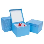 Caja Freezer Carton 100 Posiciones Con Tapa